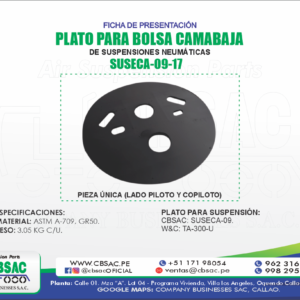 PLATO PARA BOLSA CAMABAJA (SUSPENSIÓN NEUMÁTICA)