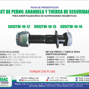 SET DE PERNO, ARANDELA Y TUERCA DE SEGURIDAD PARA SUSPENSIÓN NEUMÁTICA